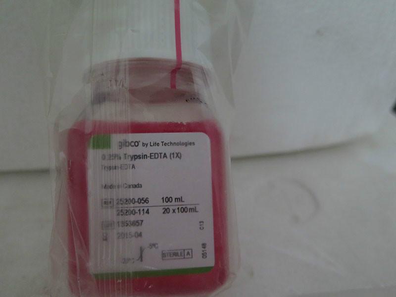 東澳圖片/東澳樣板圖 (3)