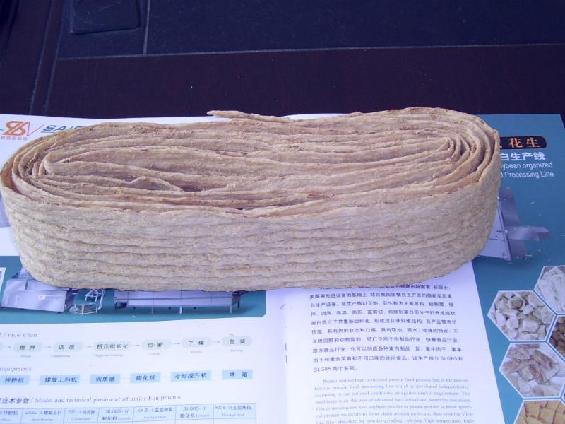 供應(yīng)拉絲蛋白生產(chǎn)線，組織蛋白生產(chǎn)加工設(shè)備，人造肉設(shè)備