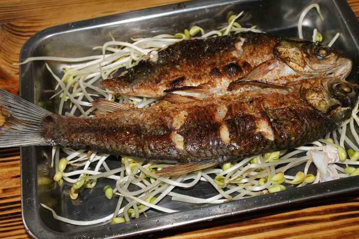 深圳烤活魚哪家強圖片