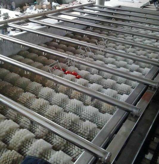 供應(yīng)大棗清洗機(jī)山菌清洗機(jī)菌類清洗