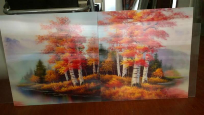 供應(yīng)立體寫(xiě)真立體畫(huà)批發(fā)