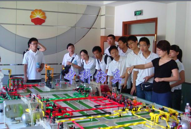 油氣開采技術(shù)仿真實訓設備圖片