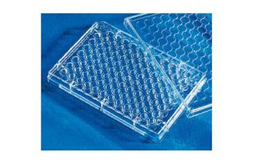 供應(yīng)Corning細(xì)胞培養(yǎng)板
