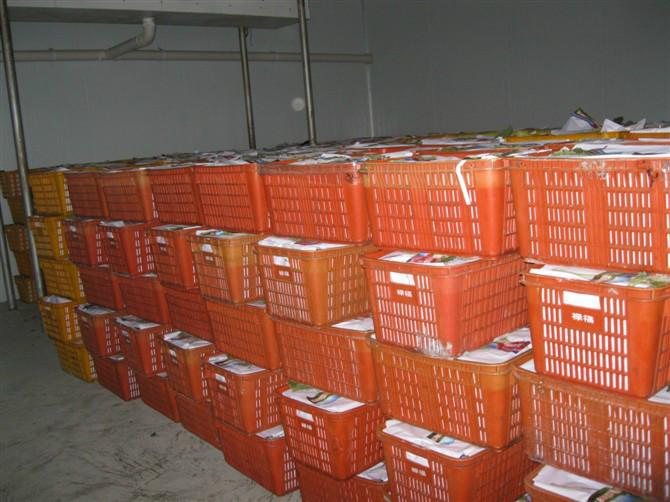 供應(yīng)紅提葡萄*代銷