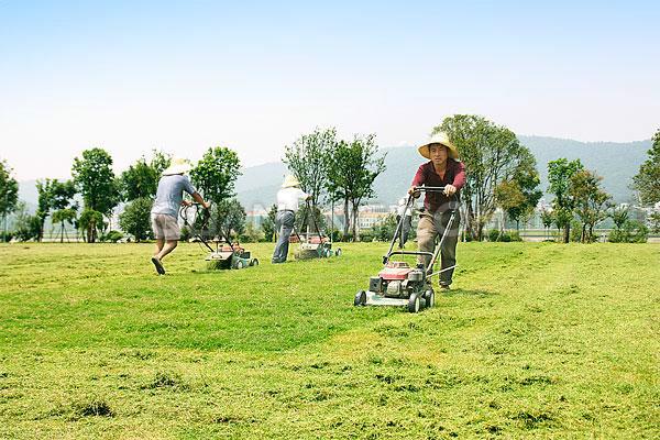 供應(yīng)周口割草機(jī)，草坪機(jī)，園林機(jī)械維修維護(hù)，本田割草機(jī)