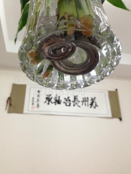 供應(yīng)水下不銹鋼軸承/水下使用的不銹鋼軸承生產(chǎn)廠家