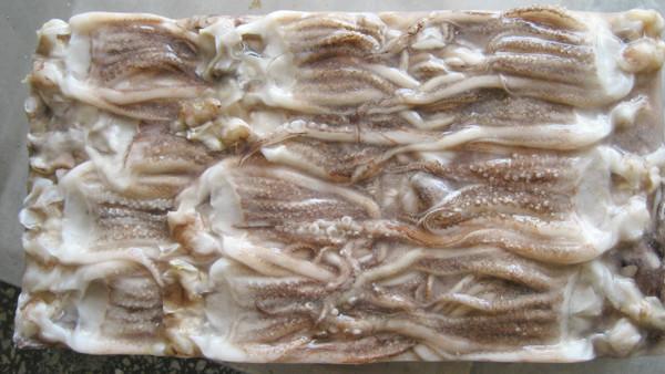 供應(yīng)冷凍魷魚頭