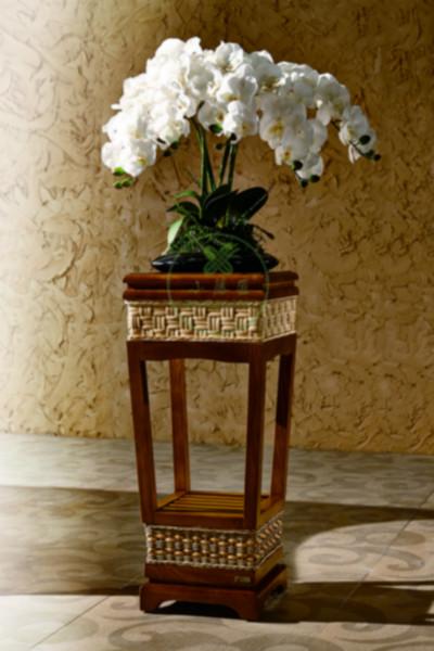 東方之珠花架圖片