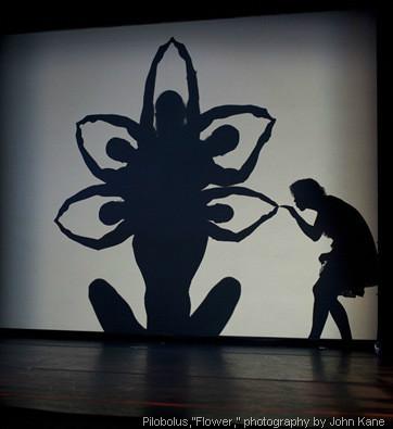 供應江蘇影子舞演出報價 江蘇影子舞演出價格 江蘇影子舞演出多少錢