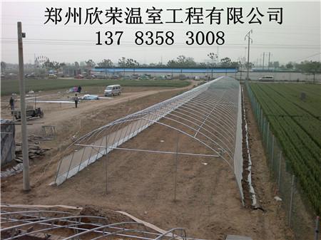 郑州市优质建造温室大棚拱棚建造技术厂家供应优质建造温室大棚拱棚建造技术