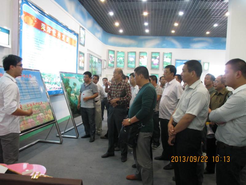 南星圖片/南星樣板圖 (2)