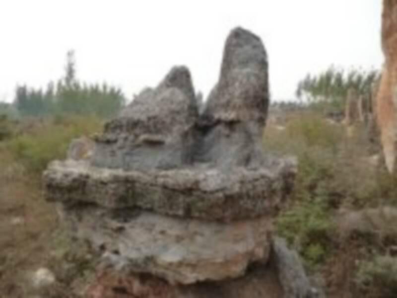 供應(yīng)園林景觀石