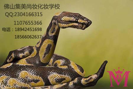 張槎化妝培訓(xùn)班H肇慶彩妝培訓(xùn)那里圖片