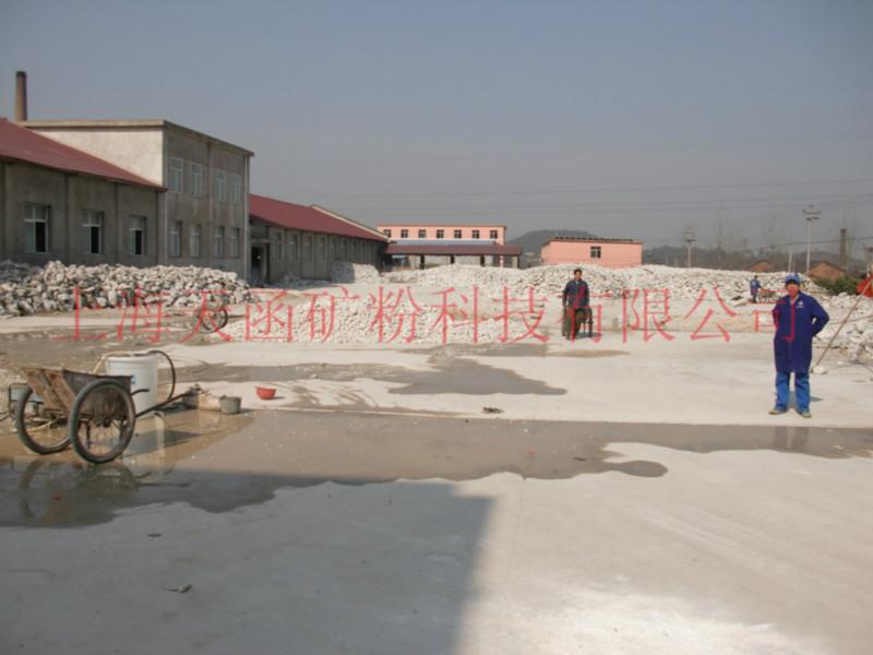 供應(yīng)改性硅灰石，pp*改性硅灰石