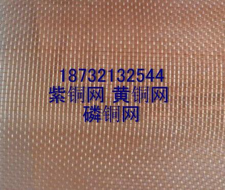 供應(yīng)紫銅網(wǎng)/純銅網(wǎng)/20目*網(wǎng)100目60目過(guò)濾網(wǎng)*篩網(wǎng)