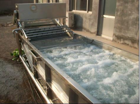 蔬菜清洗機醬菜脫鹽清洗機圖片