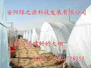 供應(yīng)安陽大棚支架機(jī)綠之源