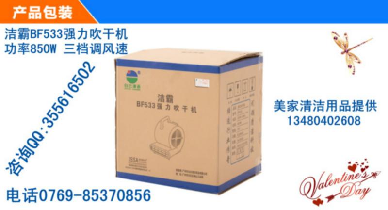 供應(yīng)潔霸強(qiáng)力吹干機(jī)BF533