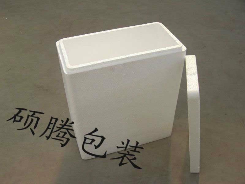 泡沫箱圖片/泡沫箱樣板圖 (2)