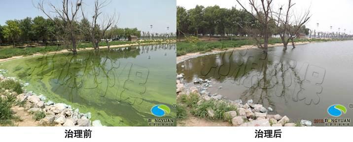 水體圖片/水體樣板圖 (2)