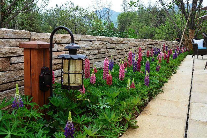 武漢私家花園四季皆是春圖片