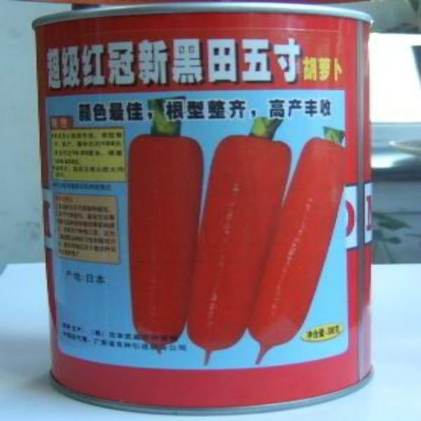 供應(yīng)胡蘿卜種子黑田五寸