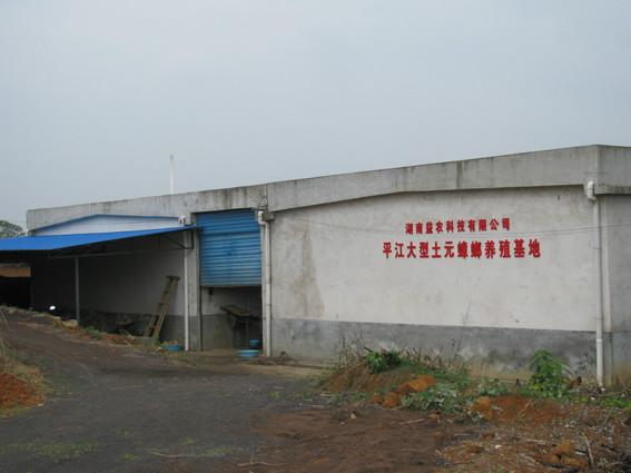供應(yīng)海南臨高土鱉養(yǎng)殖視頻_海南臨高土鱉養(yǎng)殖技術(shù)_海南臨高土鱉養(yǎng)殖