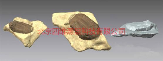 供應(yīng)MVT 3D激光掃描器附件4DP三維掃描儀三維掃描儀4DP