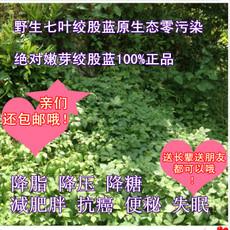 供應(yīng)小游*絞股藍供應(yīng)商，小游*絞股藍供應(yīng)商電話