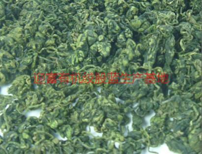 福建苦味絞股藍(lán)廠家圖片