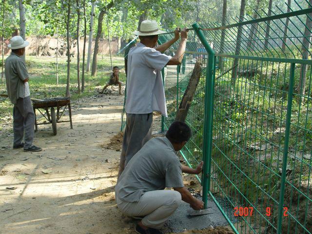 圍欄網(wǎng)圖片/圍欄網(wǎng)樣板圖 (2)