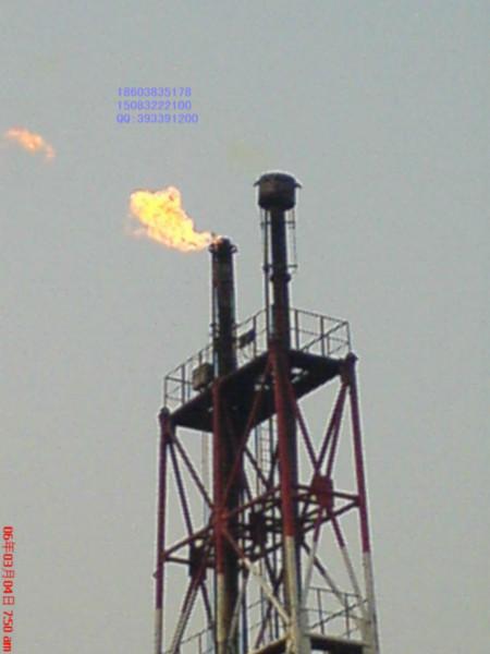 供應化工廠*高架火炬