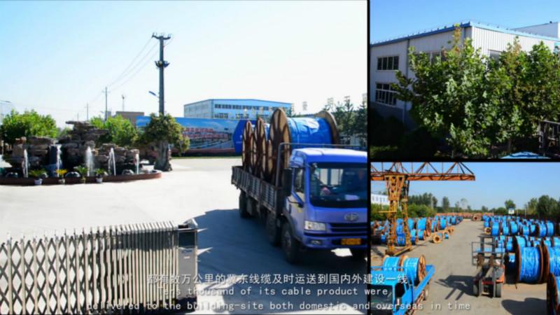 供應(yīng) ZRVVR22電纜RVVZ22軟電纜370+135*線