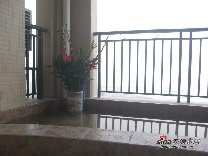 供應廣州魚池設計廣州魚池建造廣州假廣州魚池護理