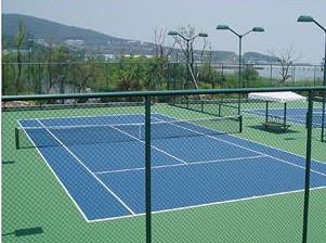 供應(yīng)網(wǎng)球場圍網(wǎng)，籃球場圍網(wǎng)，體育場圍網(wǎng)