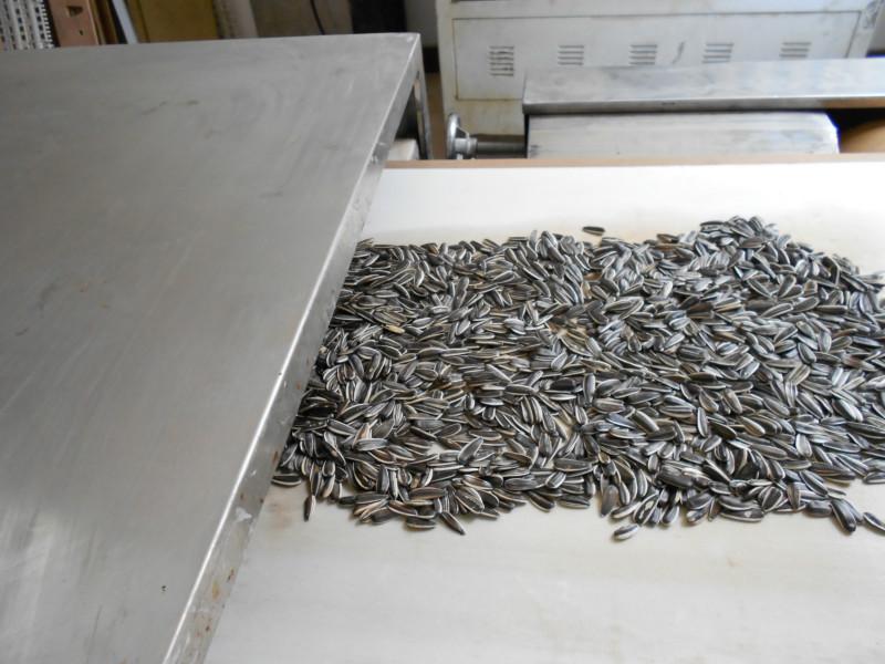 供應湖北武漢杏仁微波焙烤烘焙設備