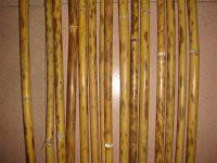 供應(yīng)廣西湘妃竹湘妃竹梅鹿竹金絲竹價(jià)格