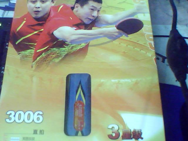 西安乒乓球拍批發(fā)西安體育用品批發(fā)圖片