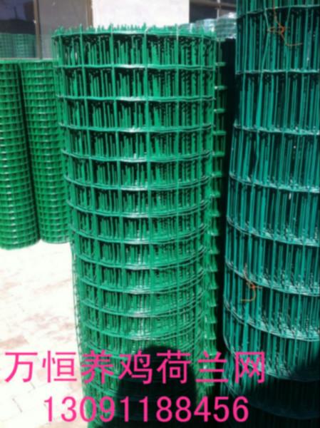 供應萬恒浸塑荷蘭網/1.8米高養(yǎng)雞荷蘭網價錢/東營荷蘭網廠家