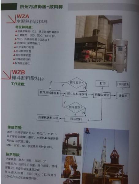 供應(yīng)萬準(zhǔn)散料秤｜杭州散料秤安裝