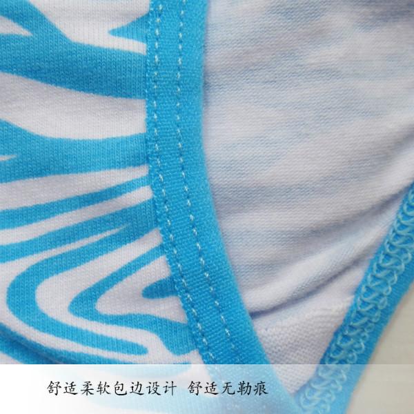 女式內(nèi)褲圖片/女式內(nèi)褲樣板圖 (3)