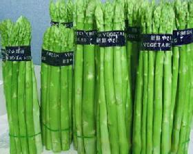 供應(yīng)伊諾斯蘆筍種子，意大利蘆筍種子，高產(chǎn)蘆筍種子