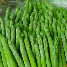 供應(yīng)阿特拉斯-蘆筍種子，美國蘆筍種子，高產(chǎn)蘆筍種子