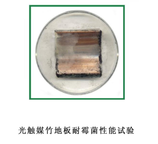 供應涂料防霉檢測價格，防霉檢測，涂料防霉