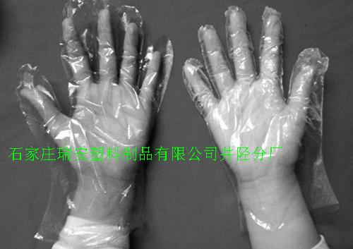供應(yīng)透明塑料一次性手套銷售價(jià)格