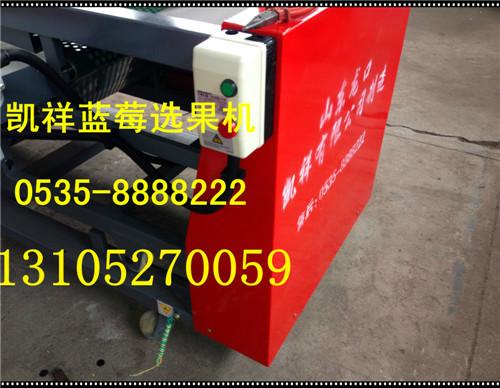 供應四季藍莓專業(yè)選果機/藍莓選果機山東廠家/藍莓選果機始創(chuàng)研發(fā)