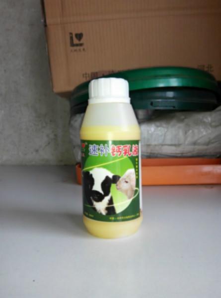 供應(yīng)速補(bǔ)鈣乳液——犢牛犢羊*供貨商