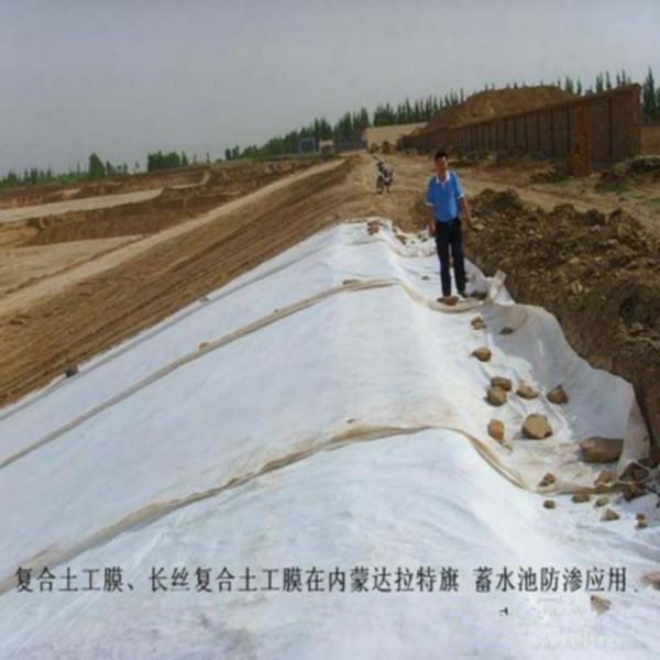 供應(yīng)農(nóng)業(yè)養(yǎng)殖土工膜，農(nóng)業(yè)養(yǎng)殖土工膜防滲效果如何，農(nóng)業(yè)養(yǎng)殖土工膜廠家