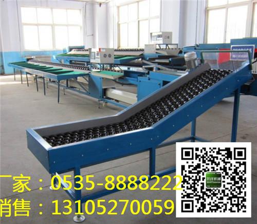 供應(yīng)蘋果柑桔獼猴桃電腦控制選果機(jī)，電子選果機(jī)