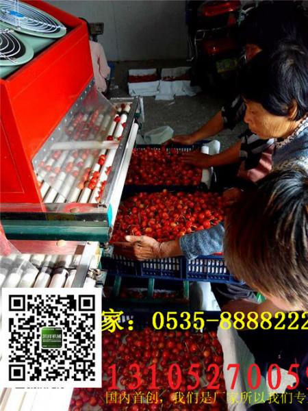 供應(yīng)櫻桃選果機(jī)櫻桃無(wú)損傷直徑分級(jí)機(jī)